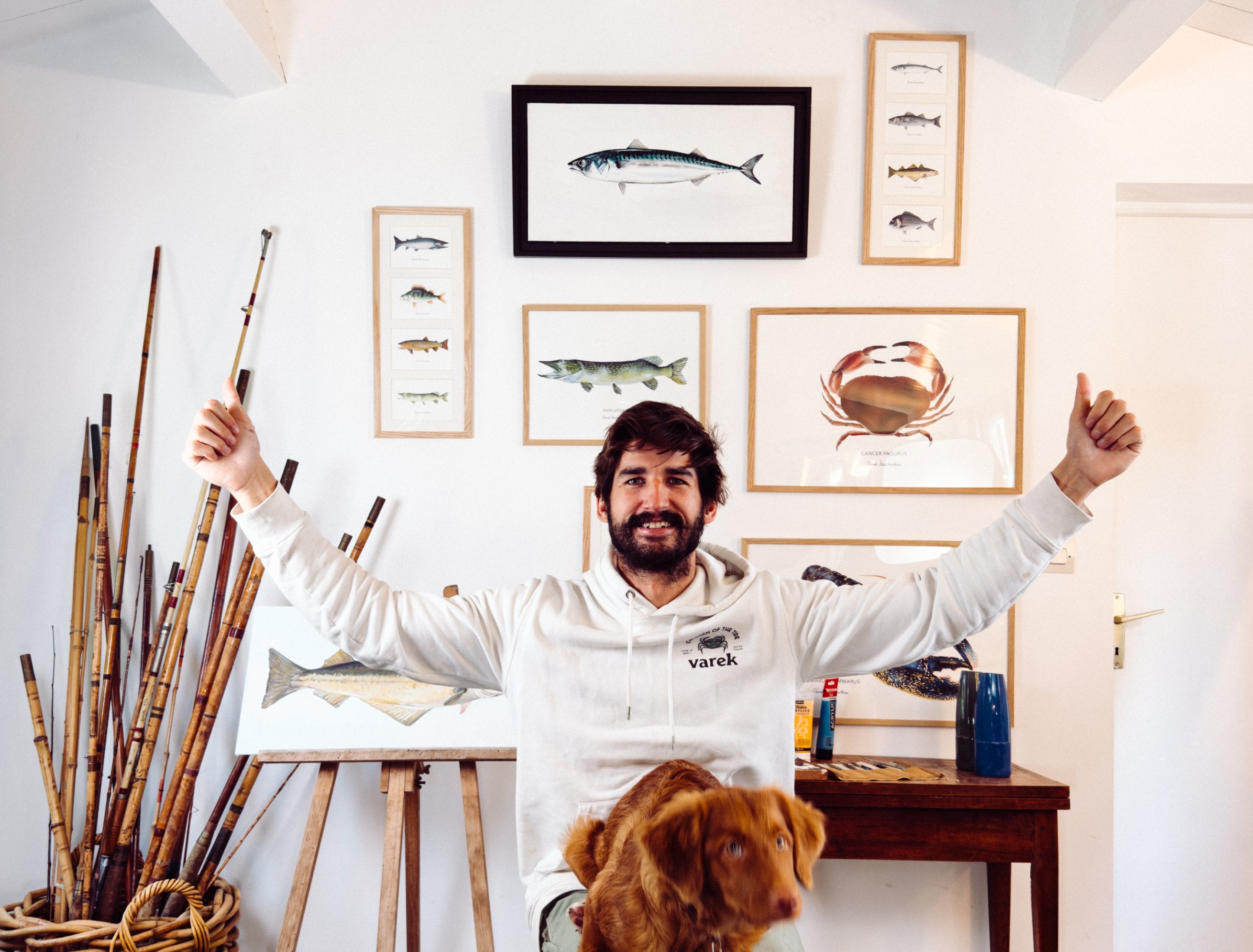 Les affiches de la vie aquatique