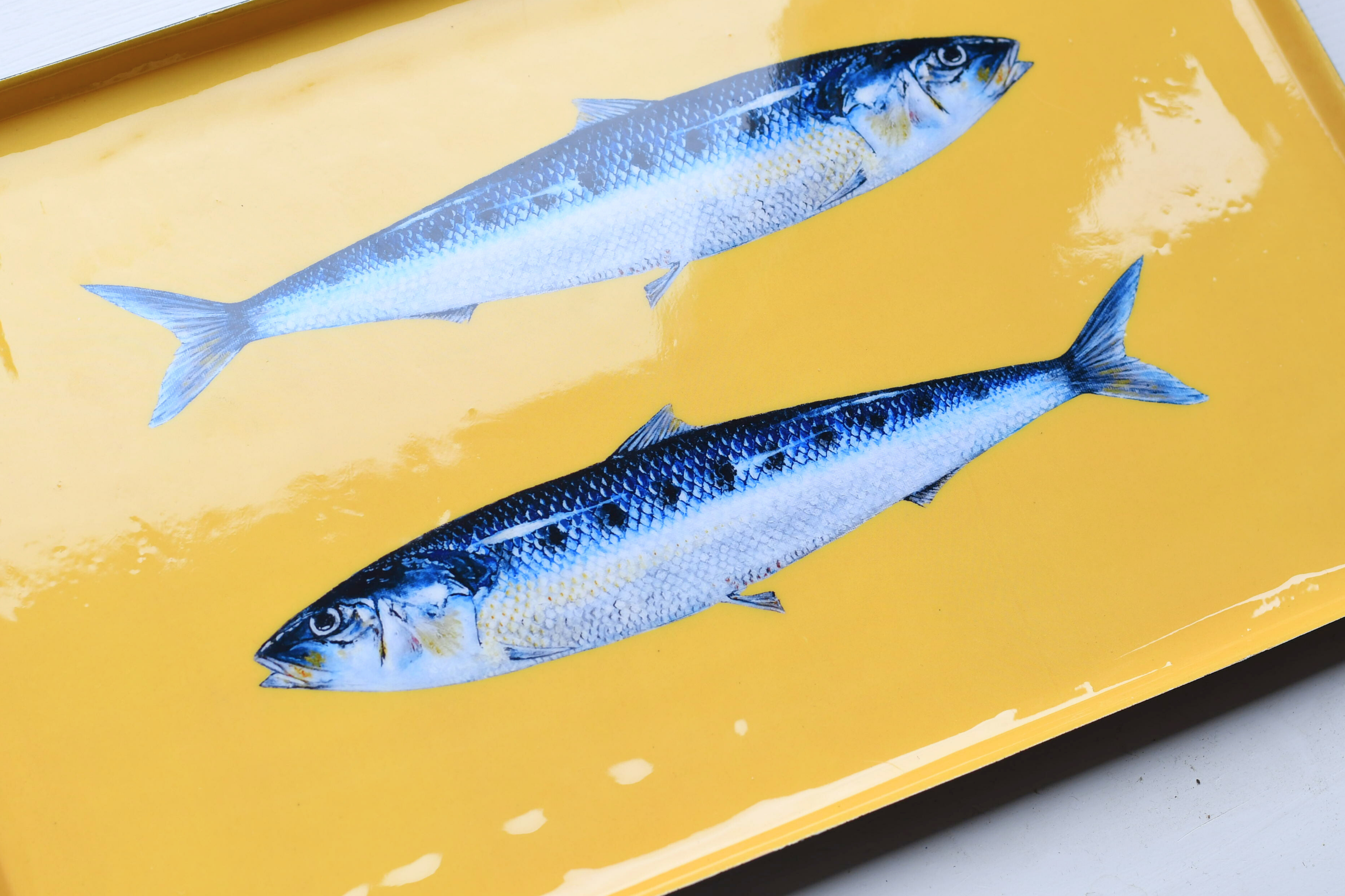 Plateau en aluminium émaillé 40 x 25 cm : Les Sardines