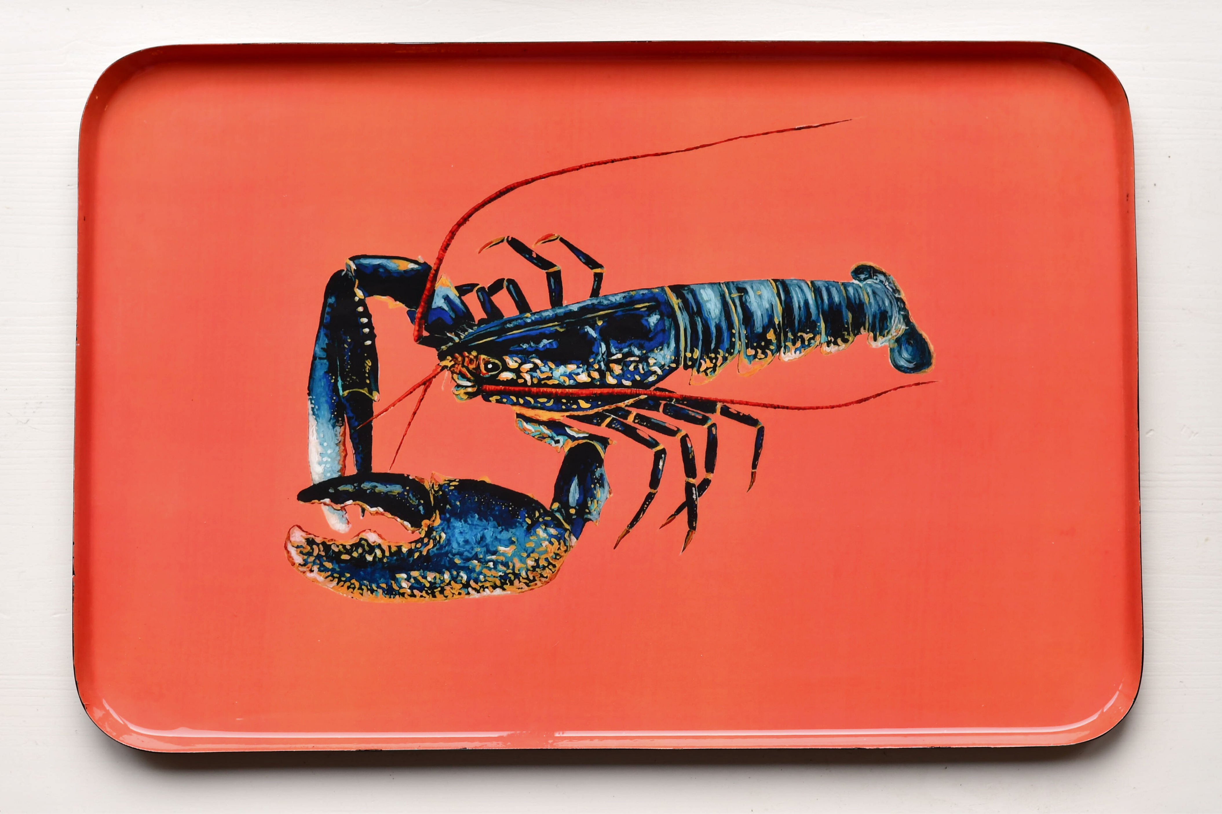 Plateau en aluminium émaillé 45 x 30 cm : Le Homard