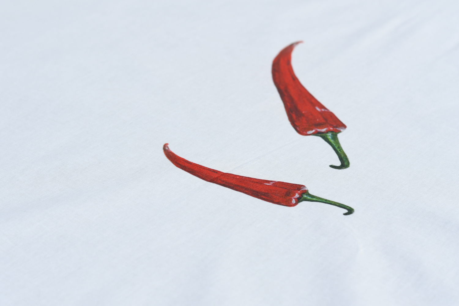 Nappe enduite en coton rectangulaire 250 x 160 cm