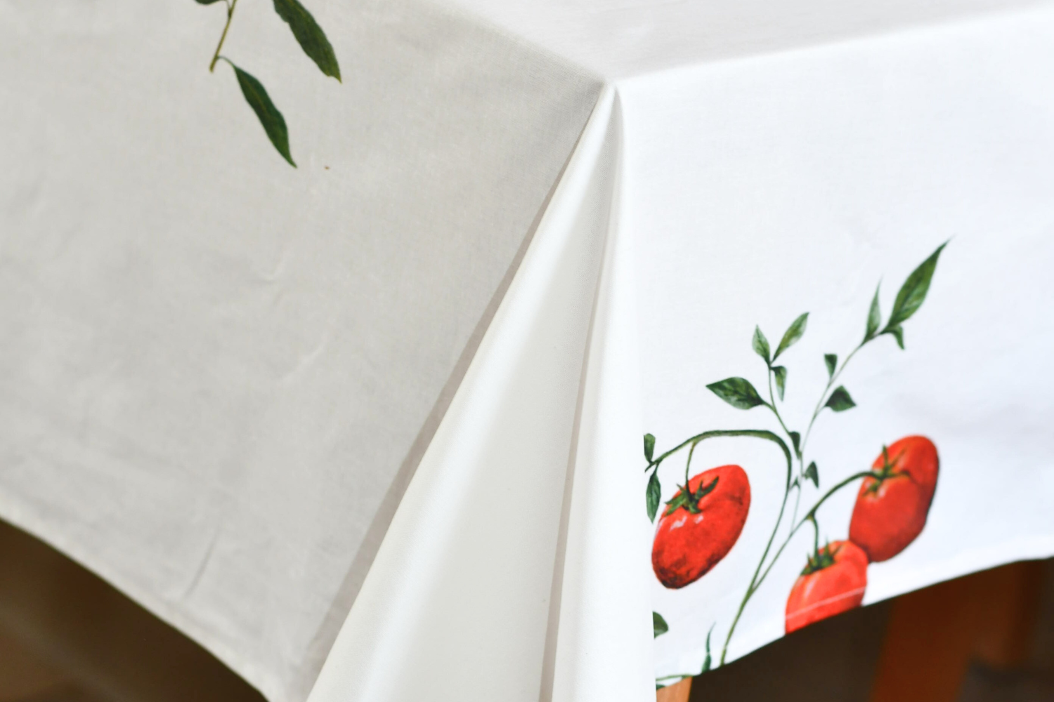 Nappe enduite en coton rectangulaire 250 x 160 cm