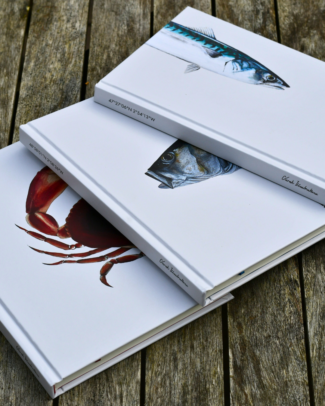 Carnet de note A5 : Le Maquereau