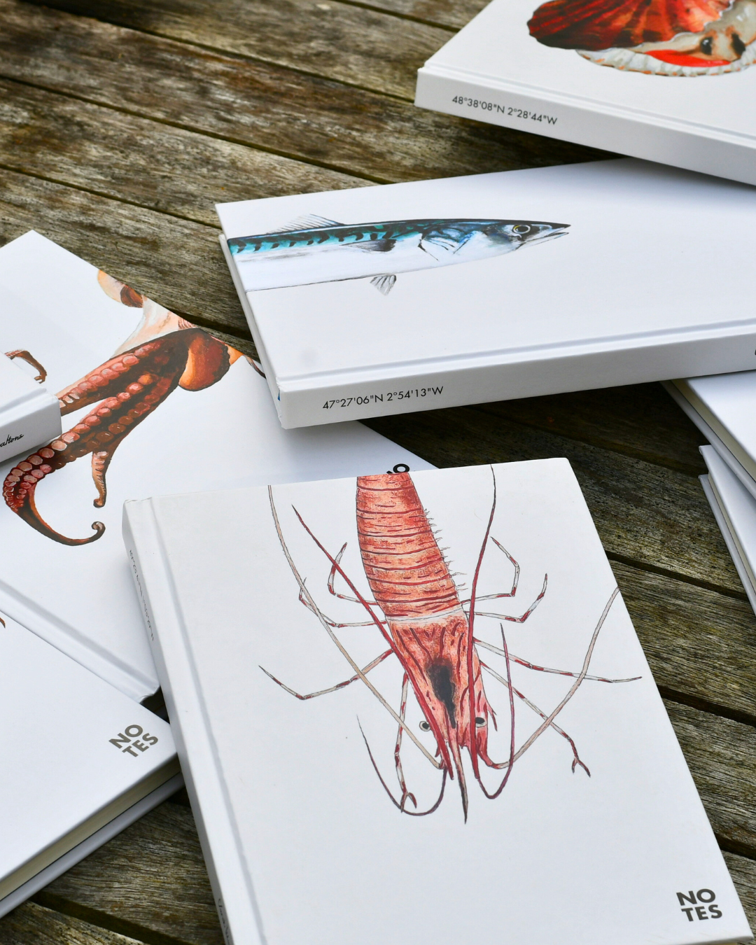 Carnet de note A5 : La Crevette