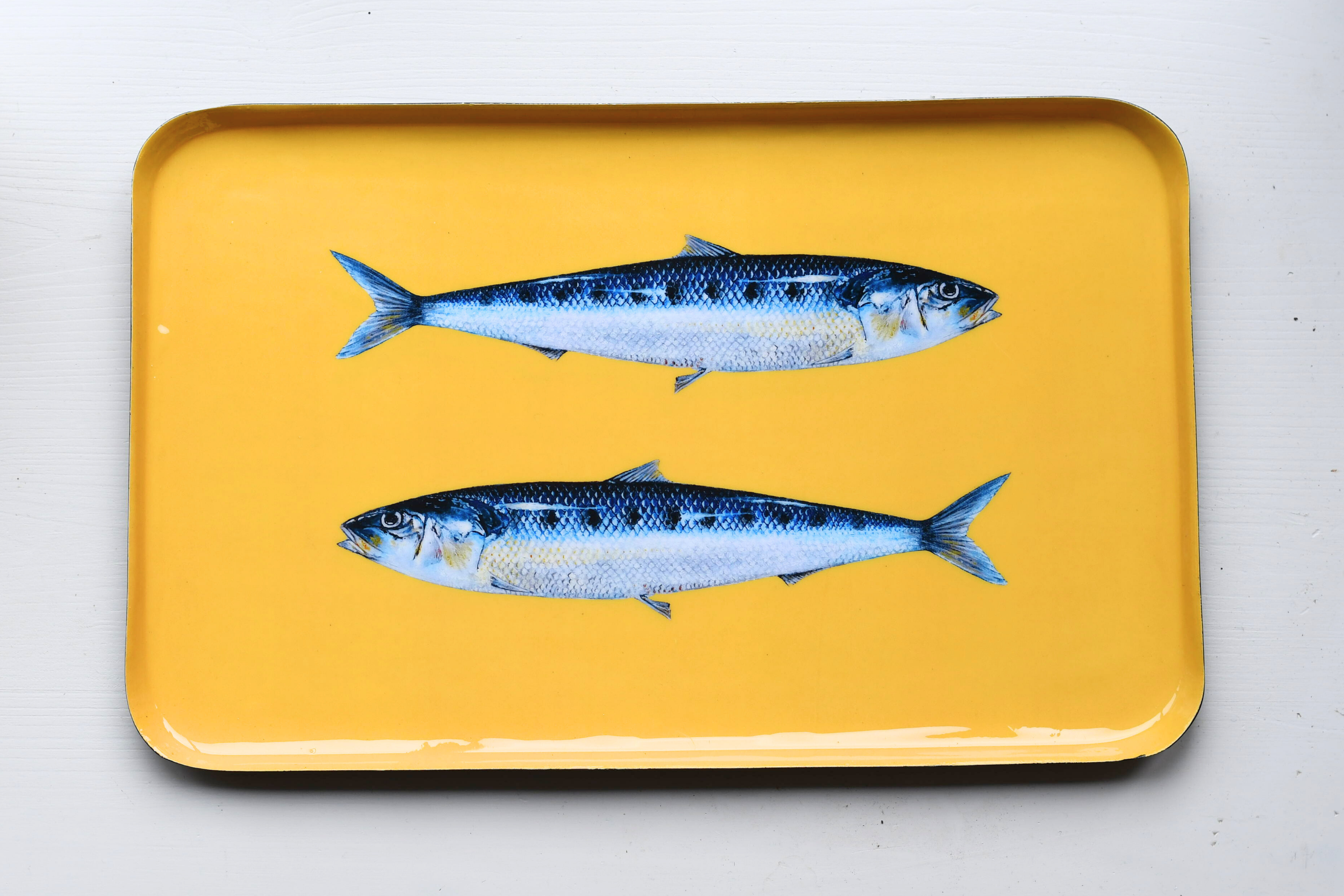 Plateau en aluminium émaillé 40 x 25 cm : Les Sardines