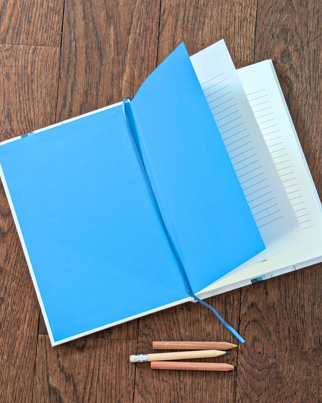 Carnet de note A5 : Les Sardines