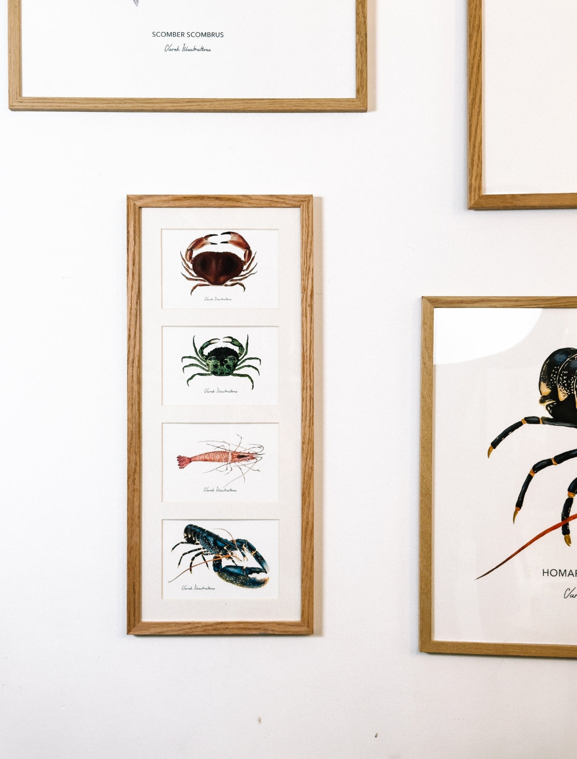Quartet: The Crustaceans of the Tide