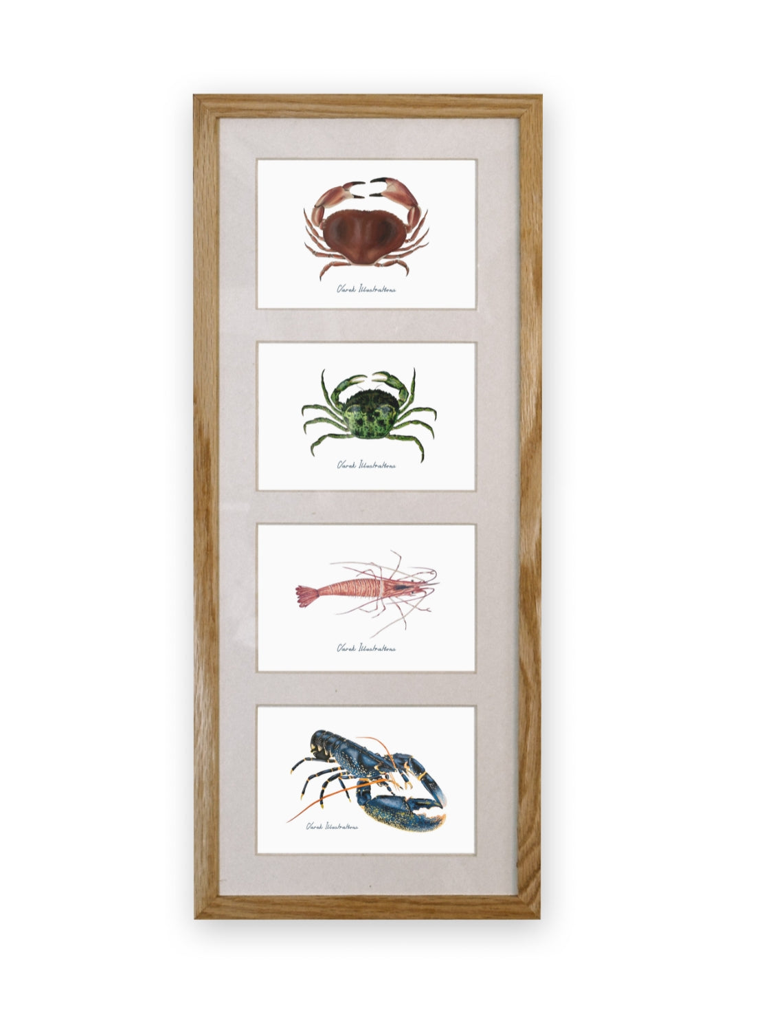 Quartet: The Crustaceans of the Tide