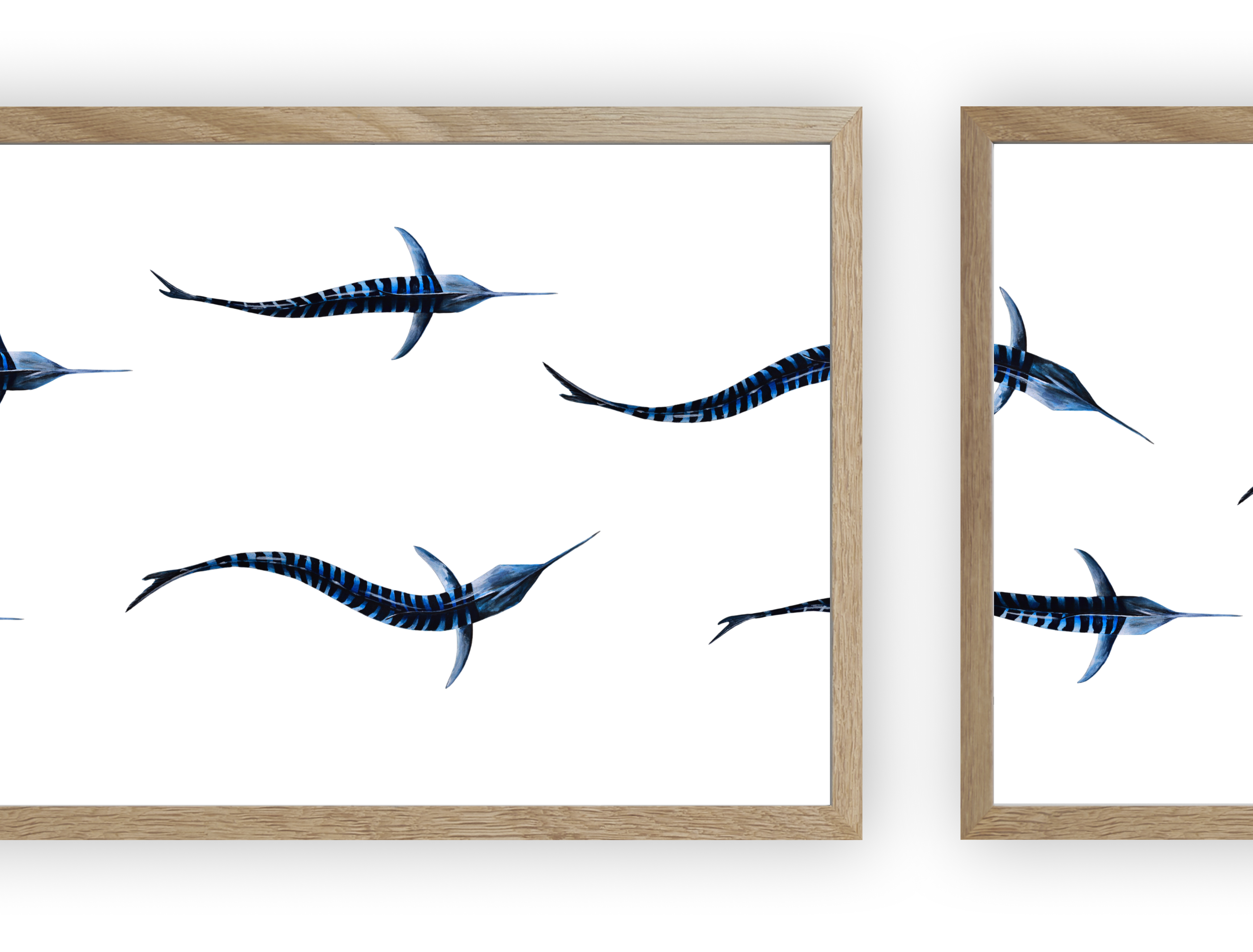 Triptyque : Les marlins vus du ciel