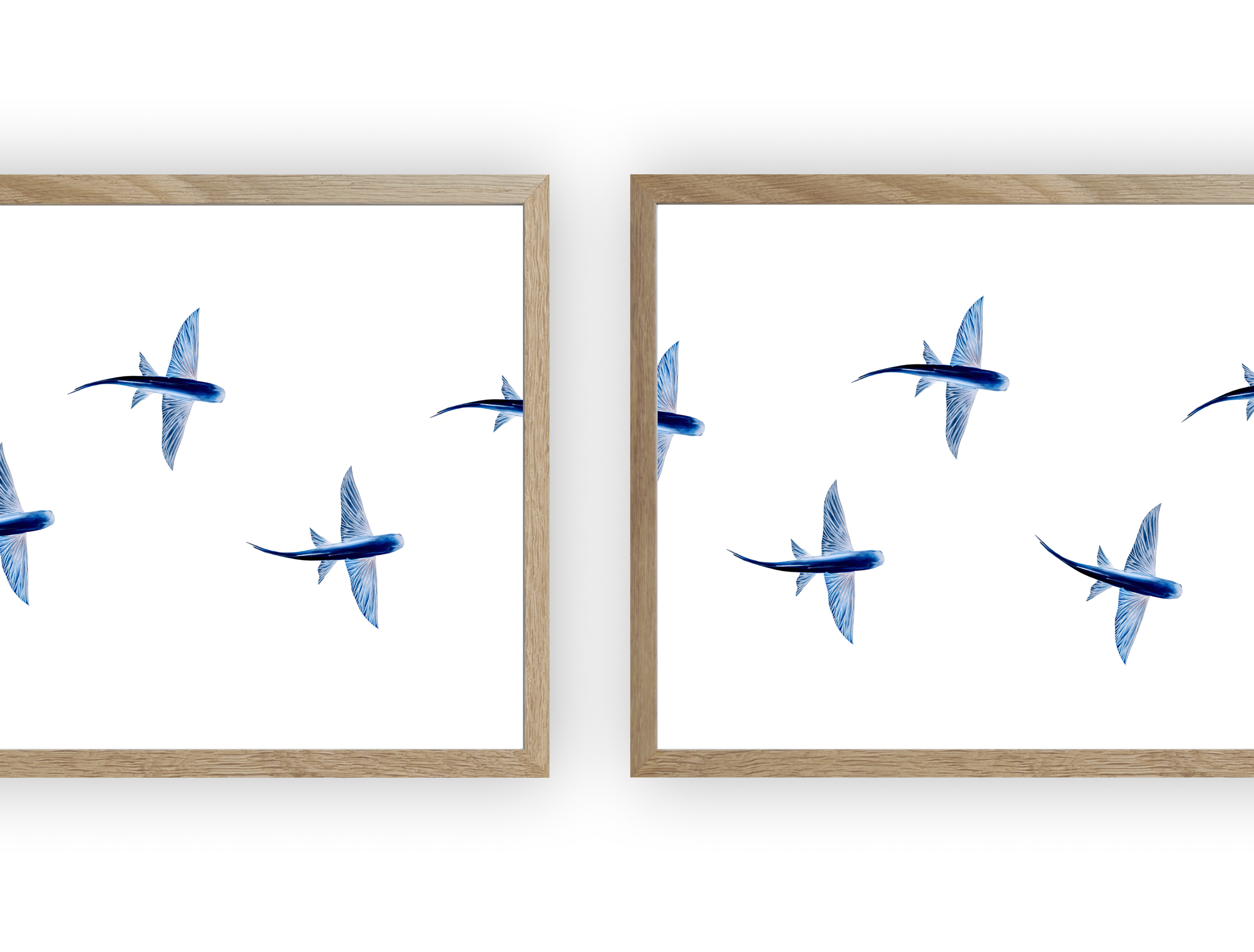 Triptyque : Les poissons volants vus du ciel