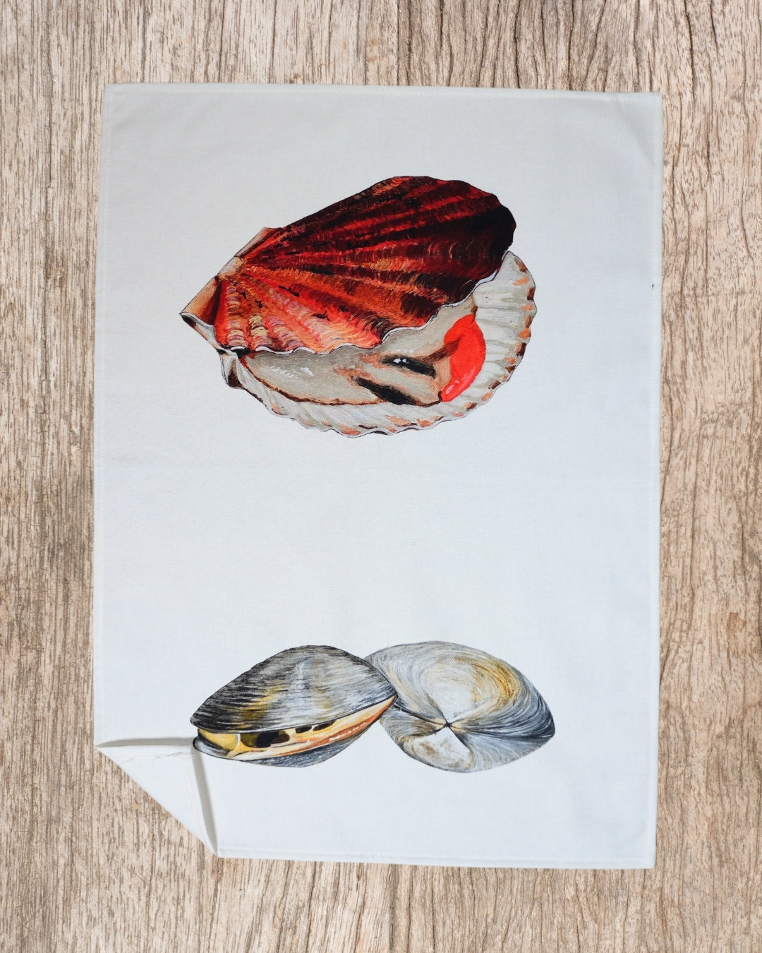 Torchon 100% coton : La Coquille Saint Jacque & La Palourde