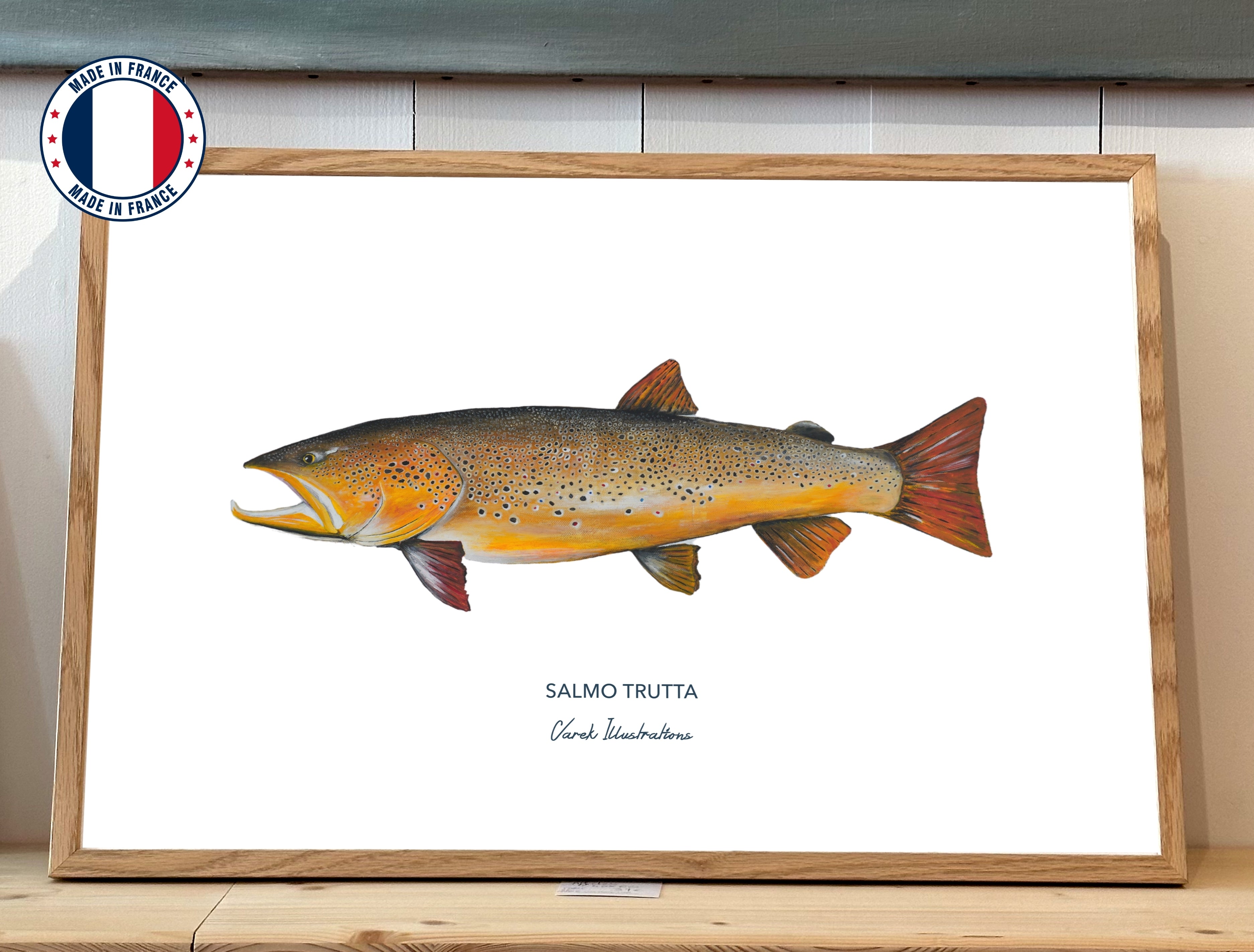 Brown trout poster - Art paper in 250gr 🌱