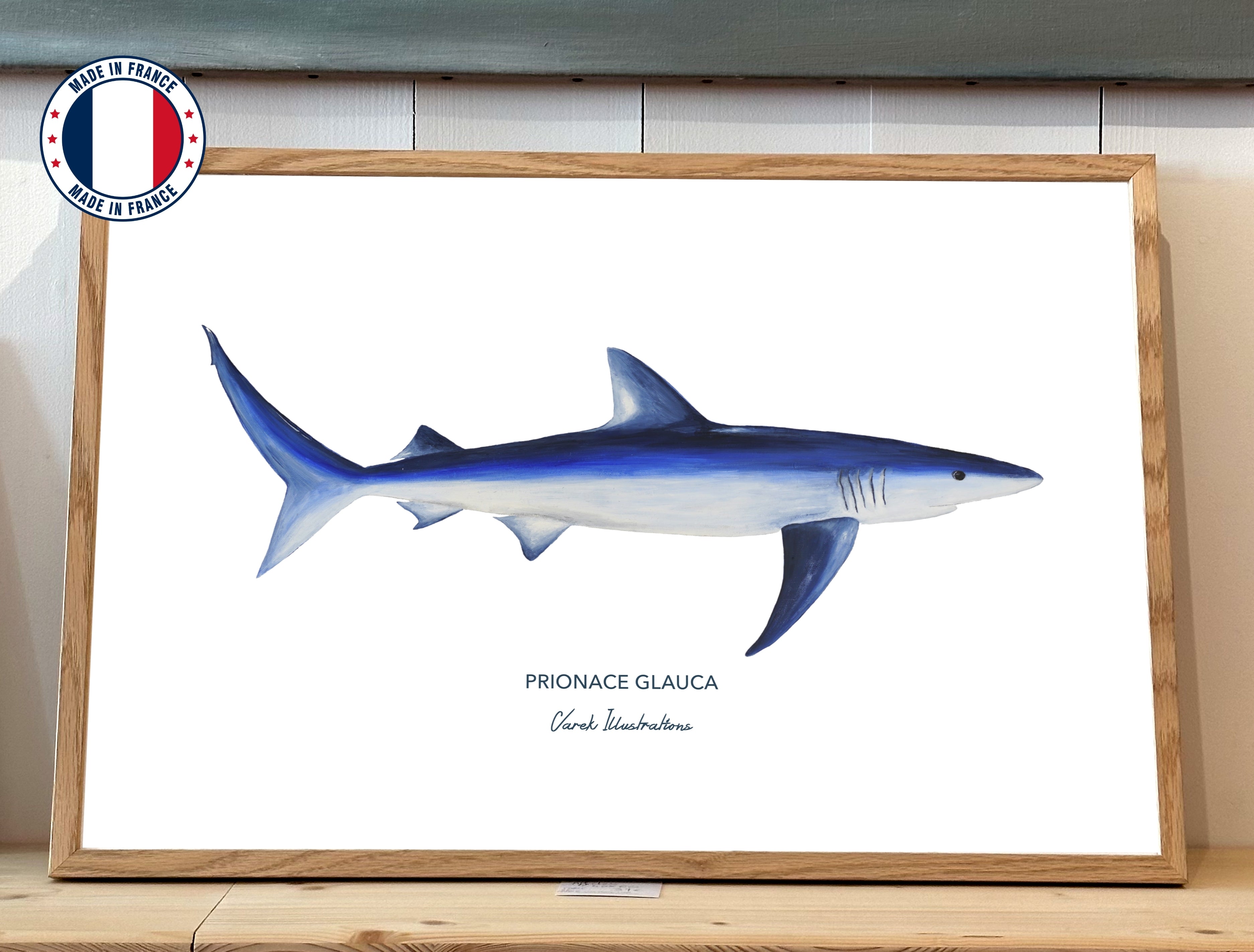 Affiche Le Requin Peau Bleue