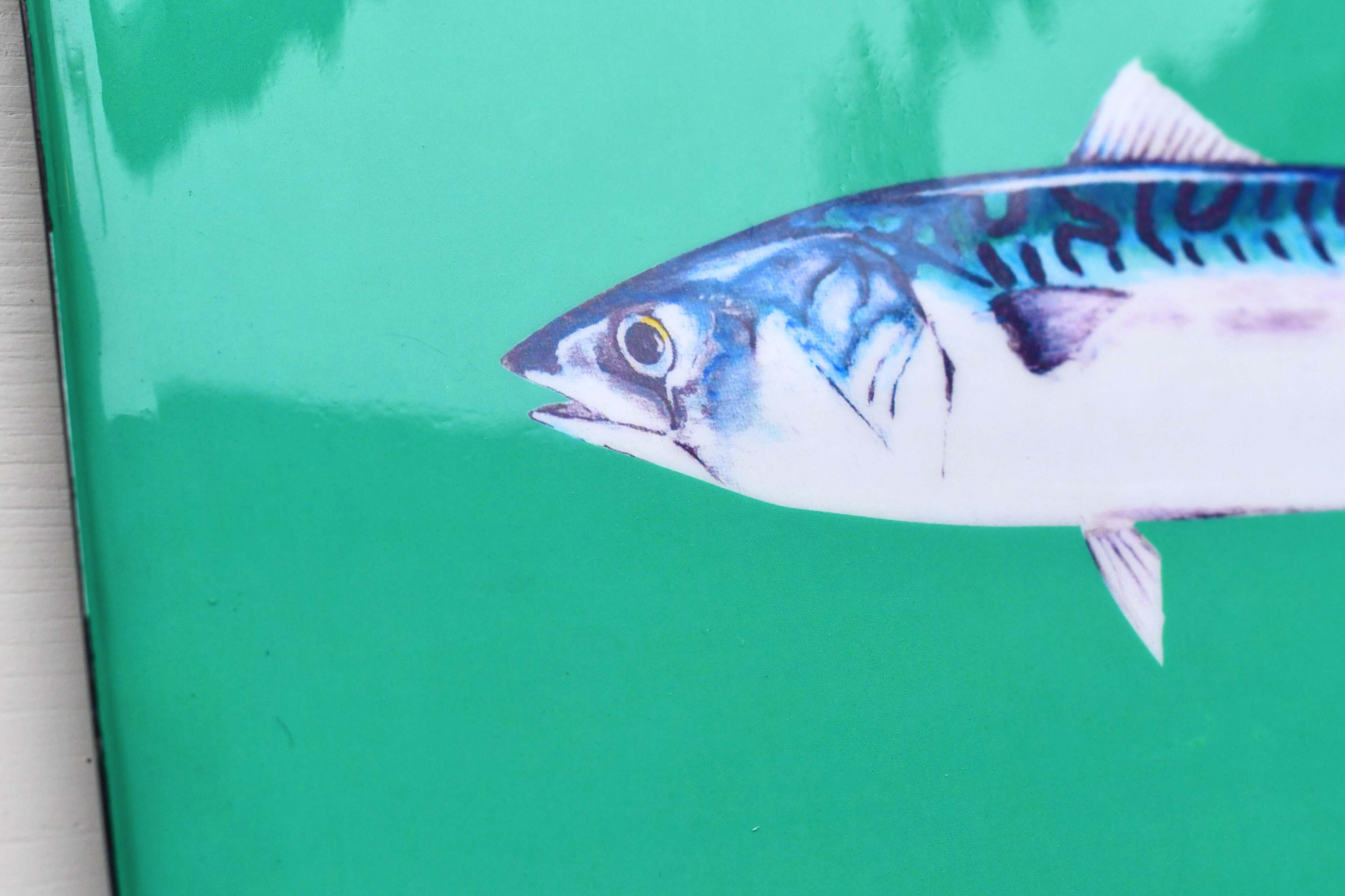 Plateau en aluminium émaillé  45 x 30 cm : Le Maquereau