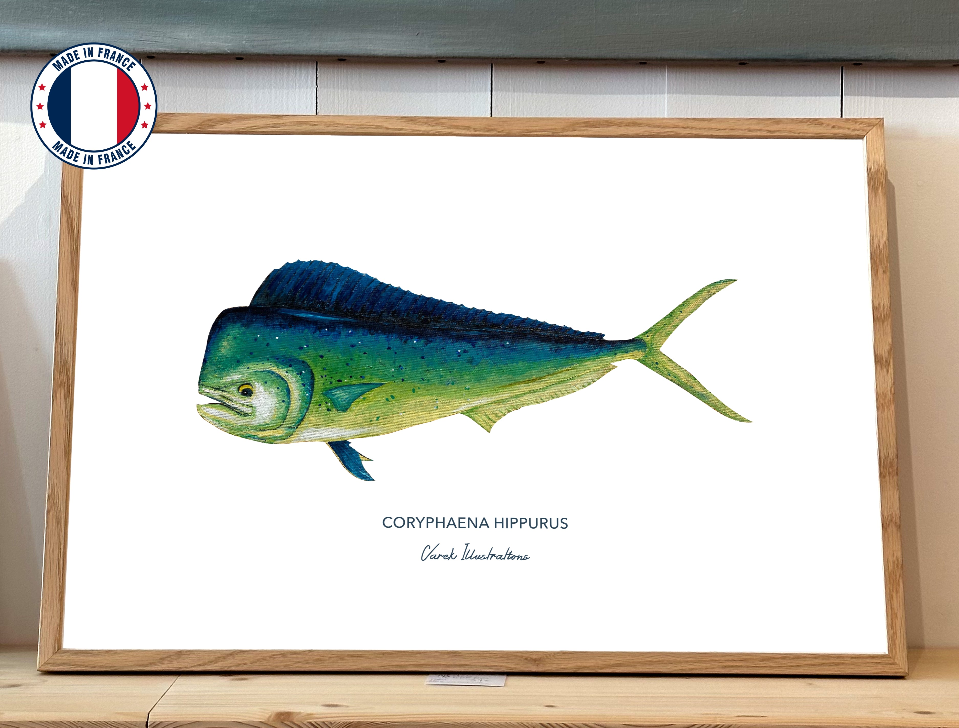 Poster The Mahi Mahi - Art paper in 250gr 🌱