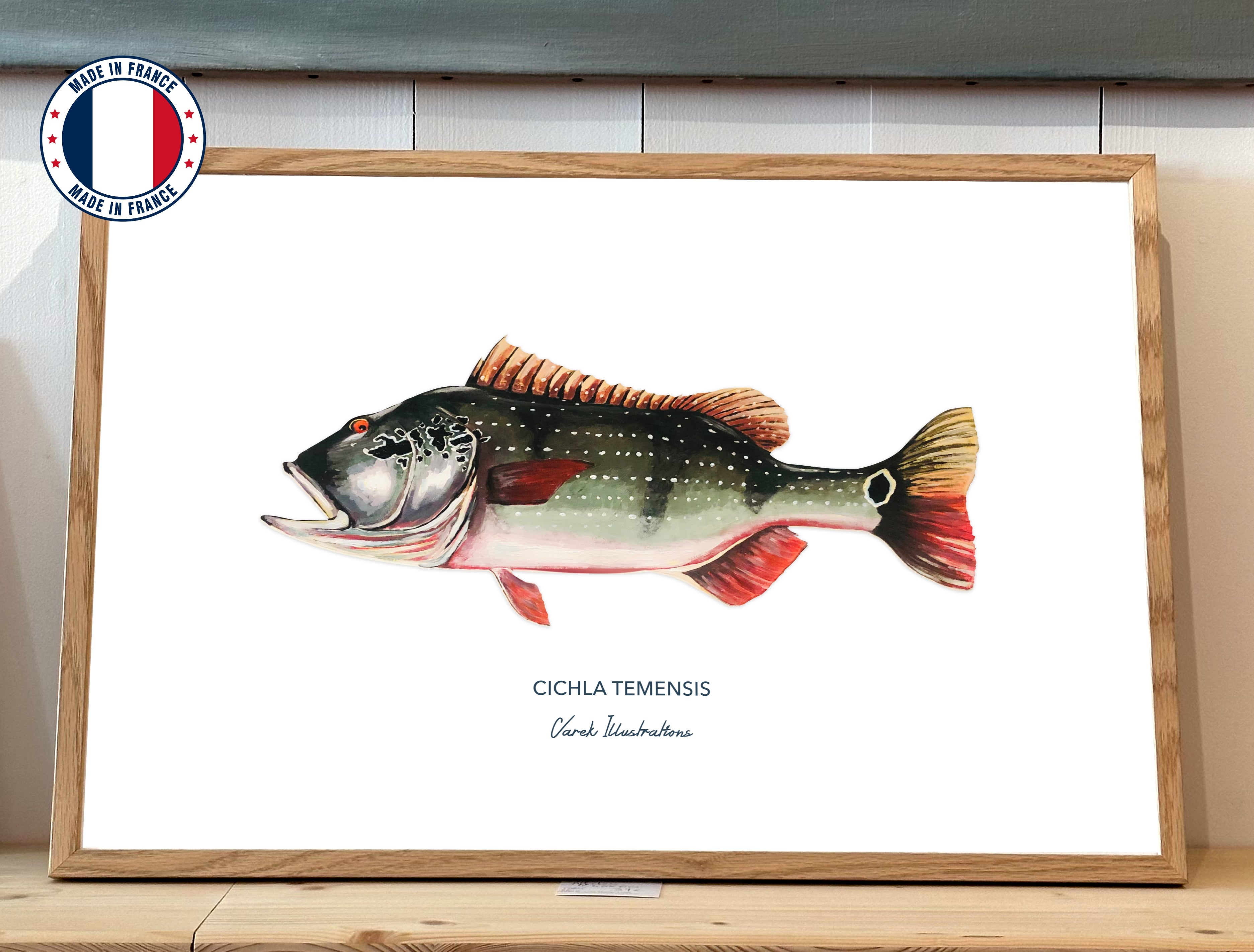 Affiche Le Peacock Bass