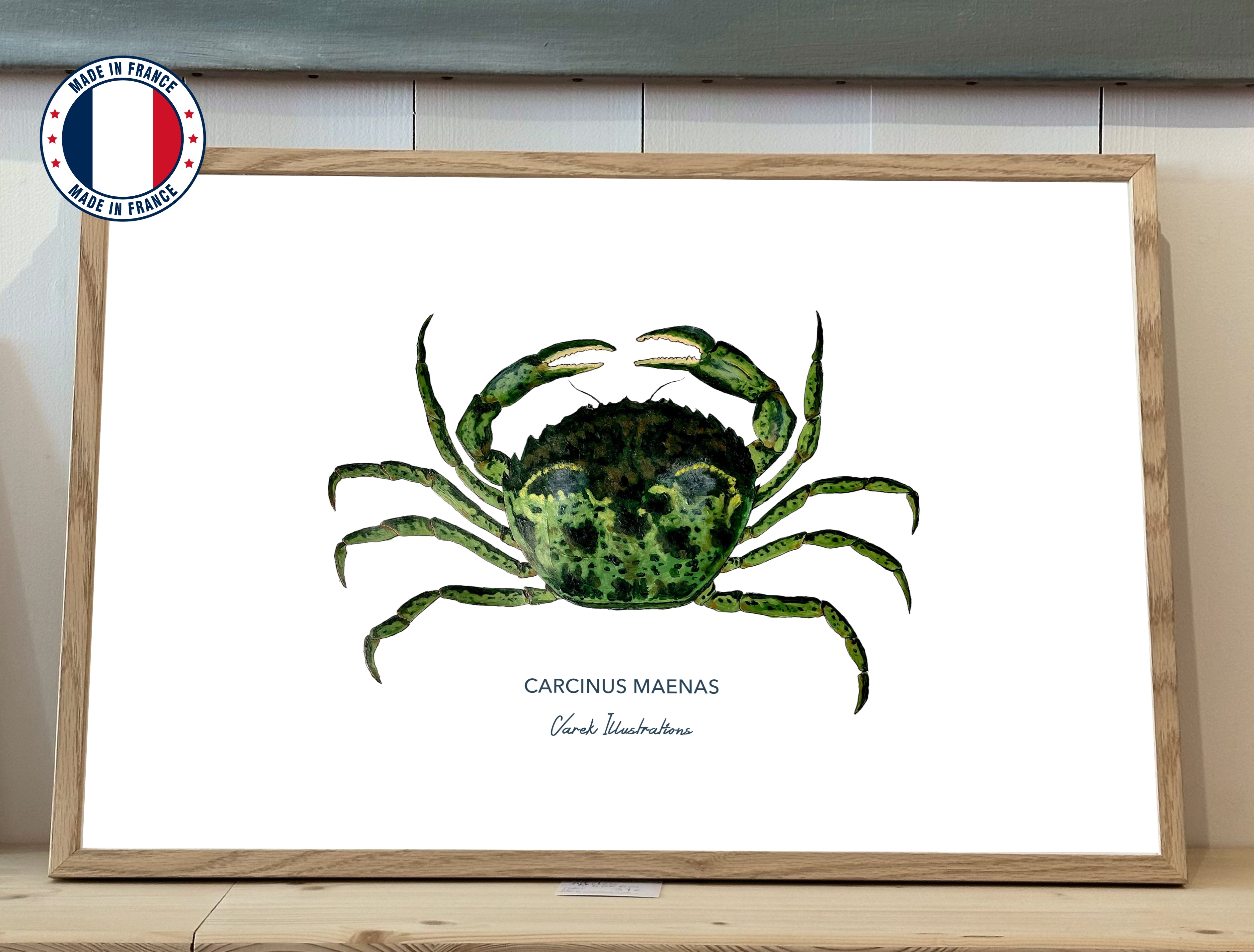 Poster The Green Crab - Art paper in 250gr 🌱