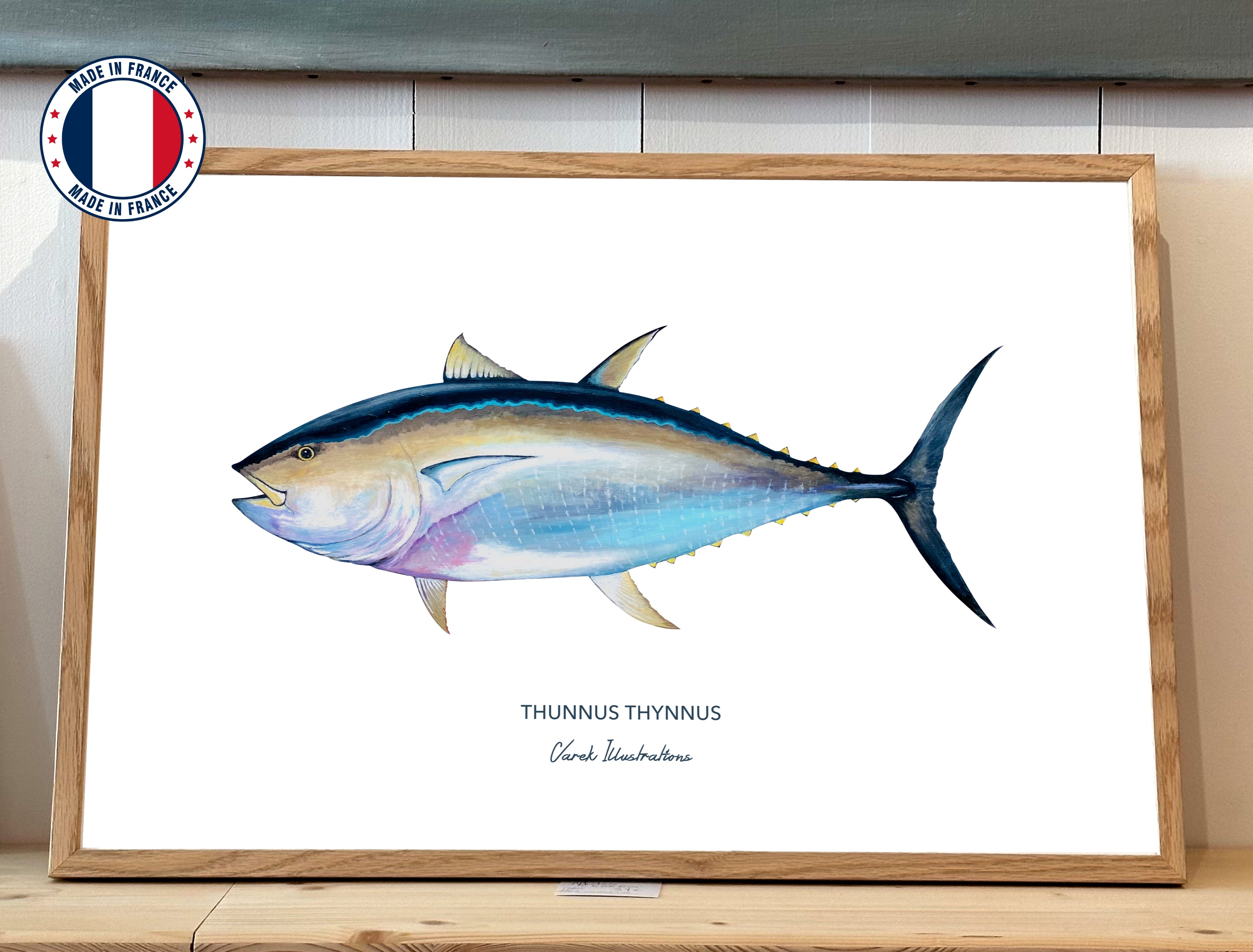 Bluefin Tuna poster - Art paper in 250gr 🌱