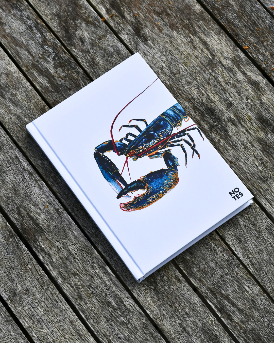 Carnet de note A5 : Le Homard