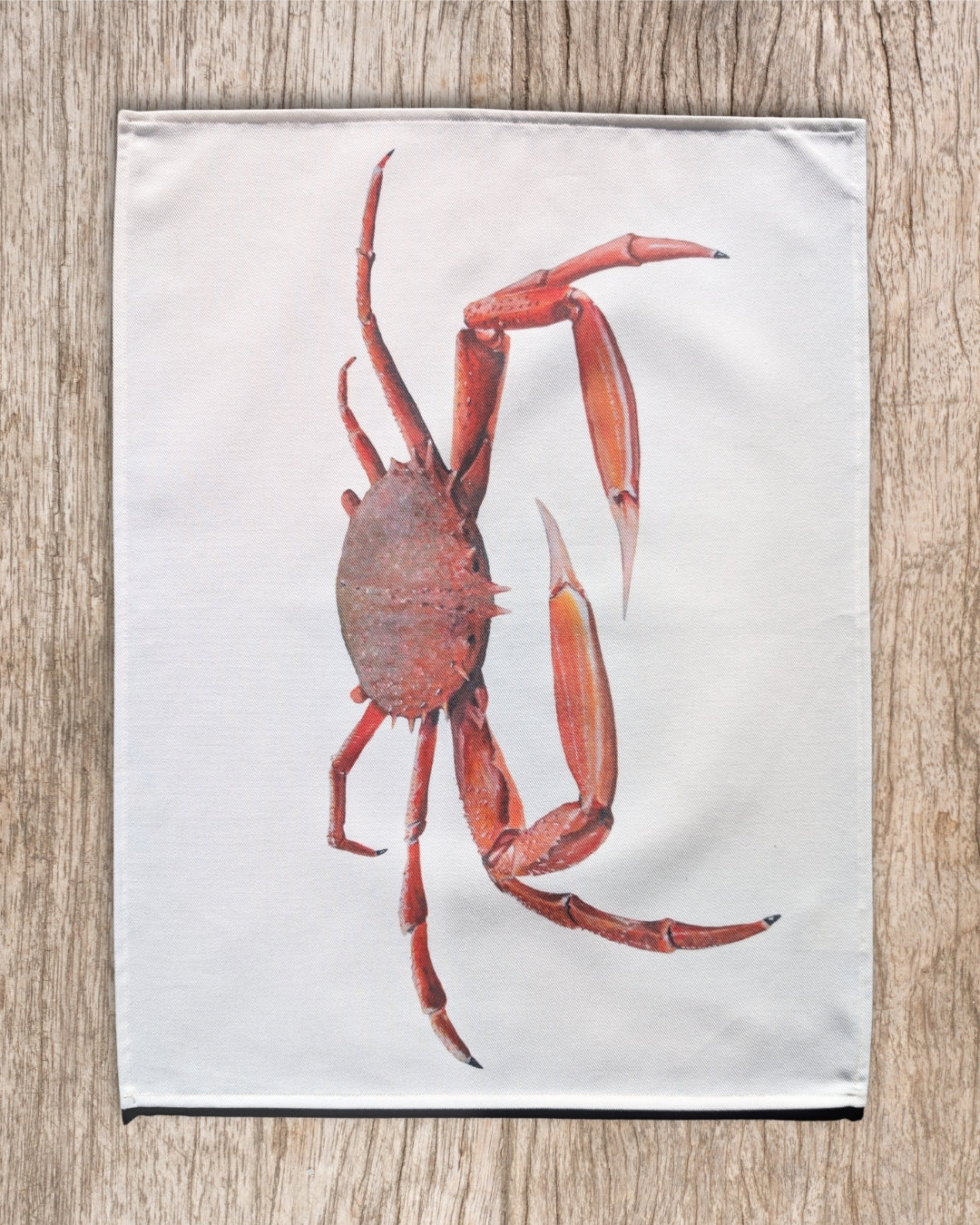 Torchon 100% coton : L'Araignée de Mer