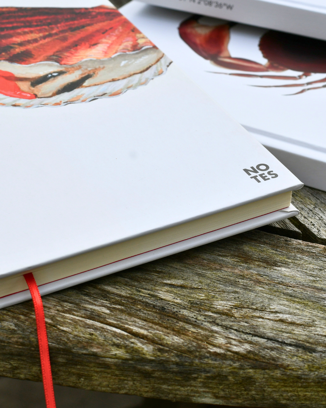 Carnet de note A5 : La Coquille Saint Jacques