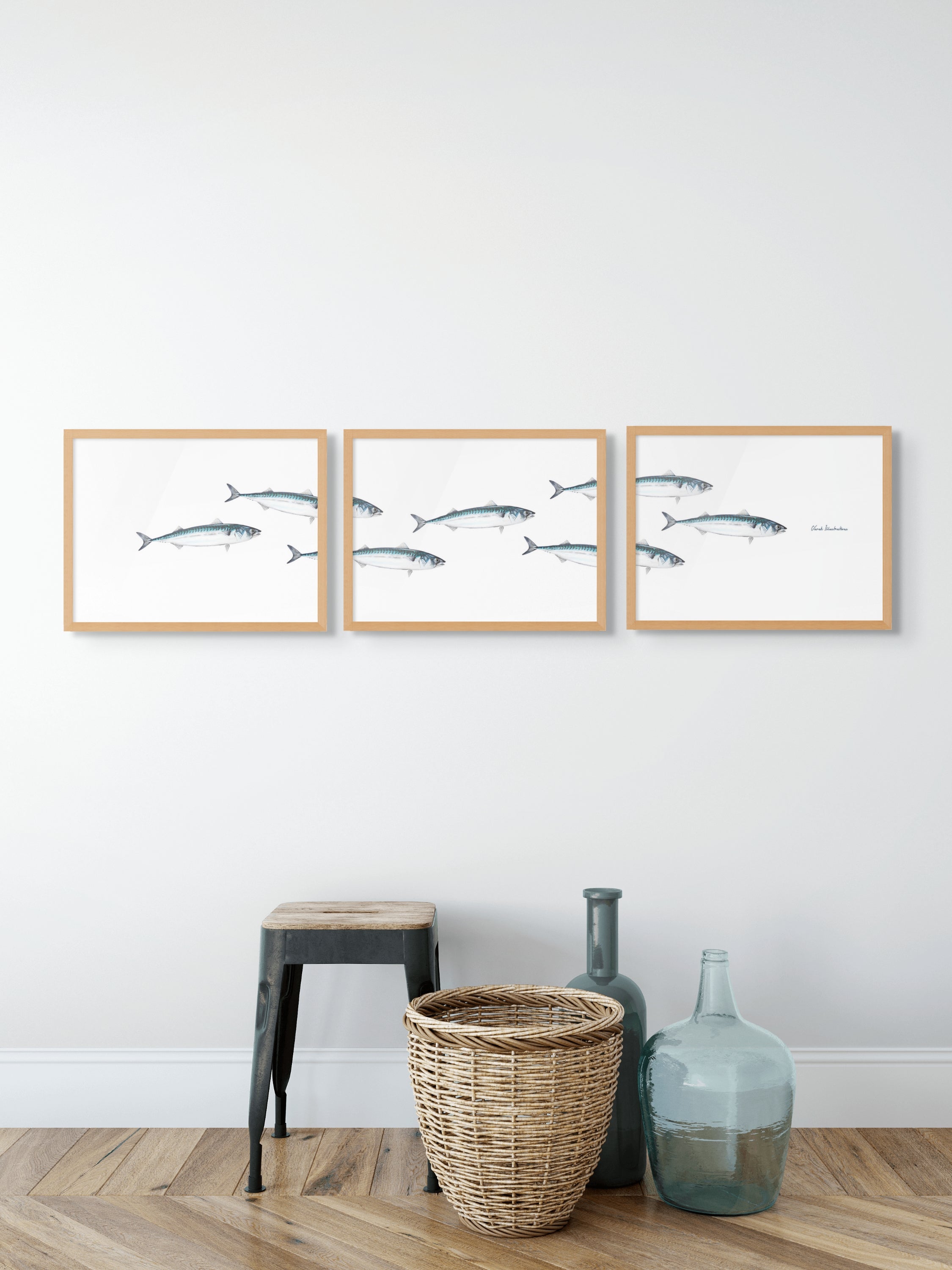 Triptyque Banc de Maquereau