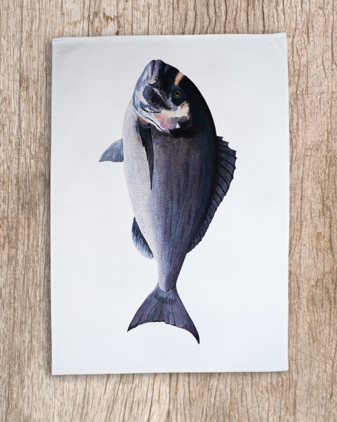 Lot de 3 Torchons 100% coton : Les poissons de nos côtes