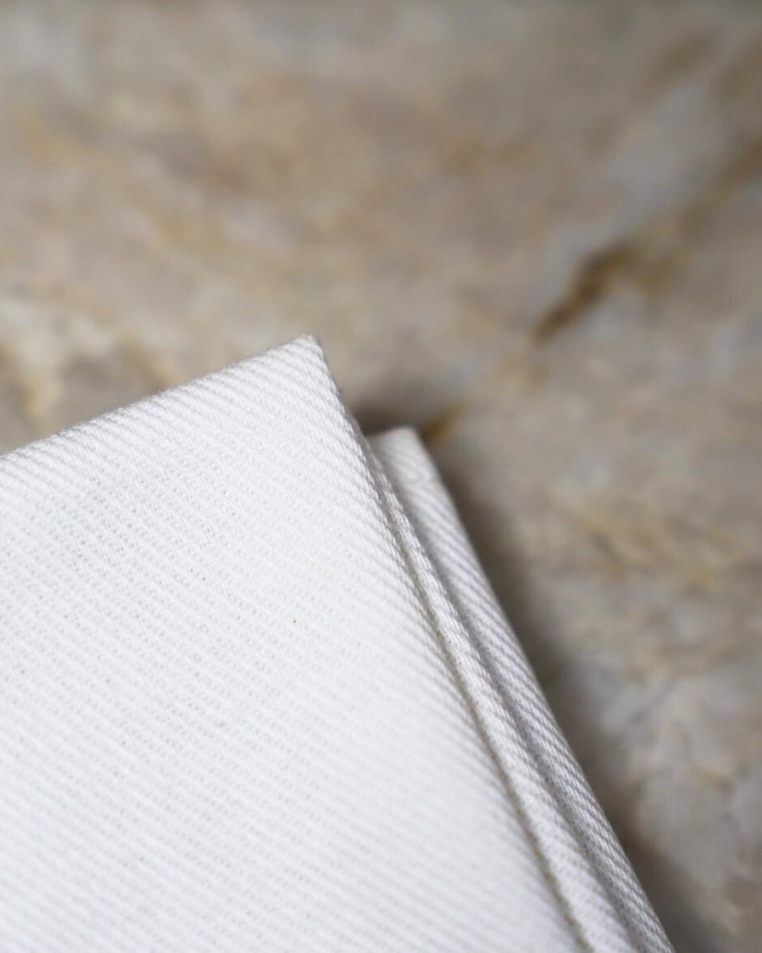 Lot de 3 Torchons 100% coton : Les Recettes de Fruits de Mer