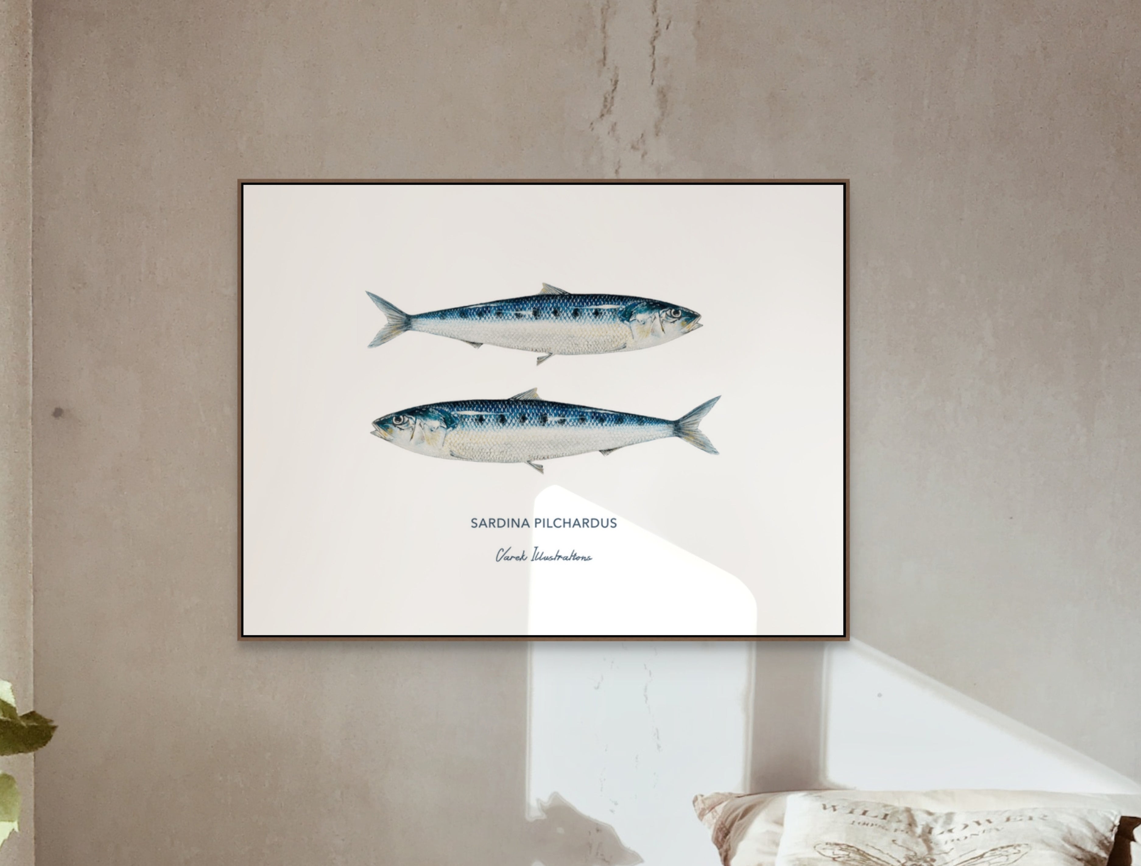 Poster Sardines - Art paper in 250gr 🌱