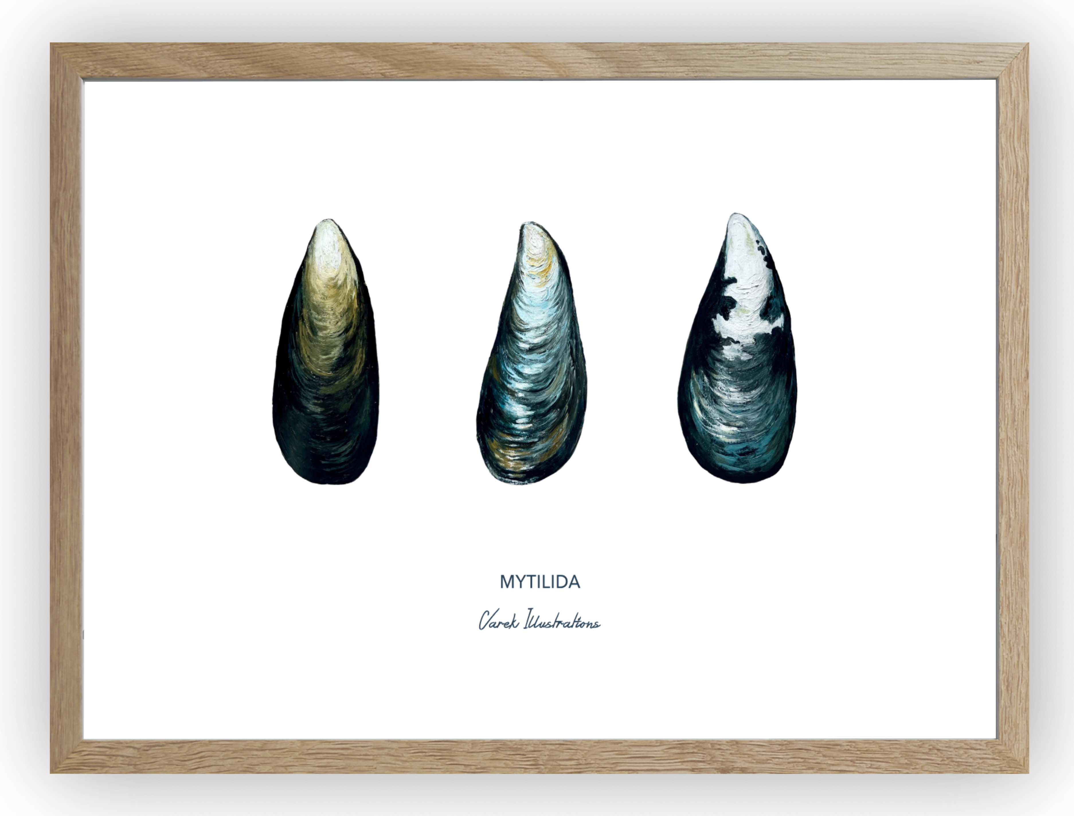 Trio Seashells - 250gr art paper 🌱