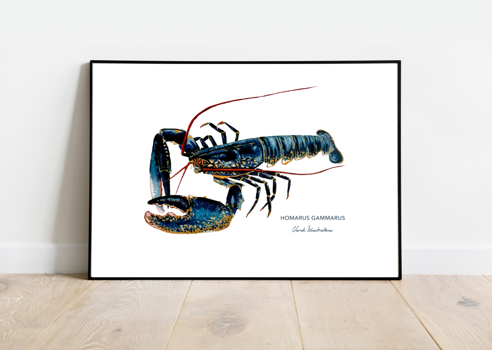 Affiche Le Homard - Papier d'art en 250gr 🌱