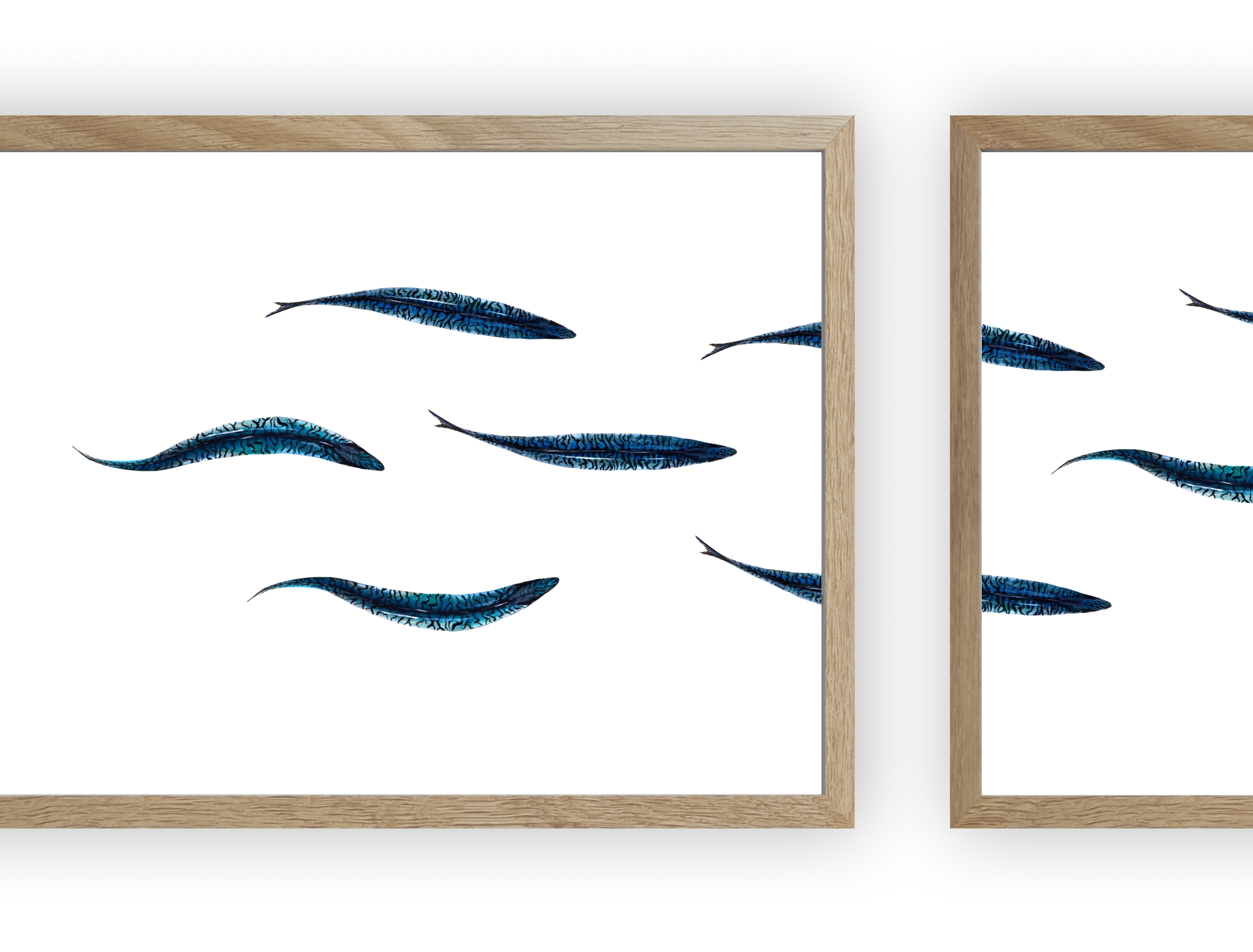 Triptyque : Les maquereaux vus du ciel