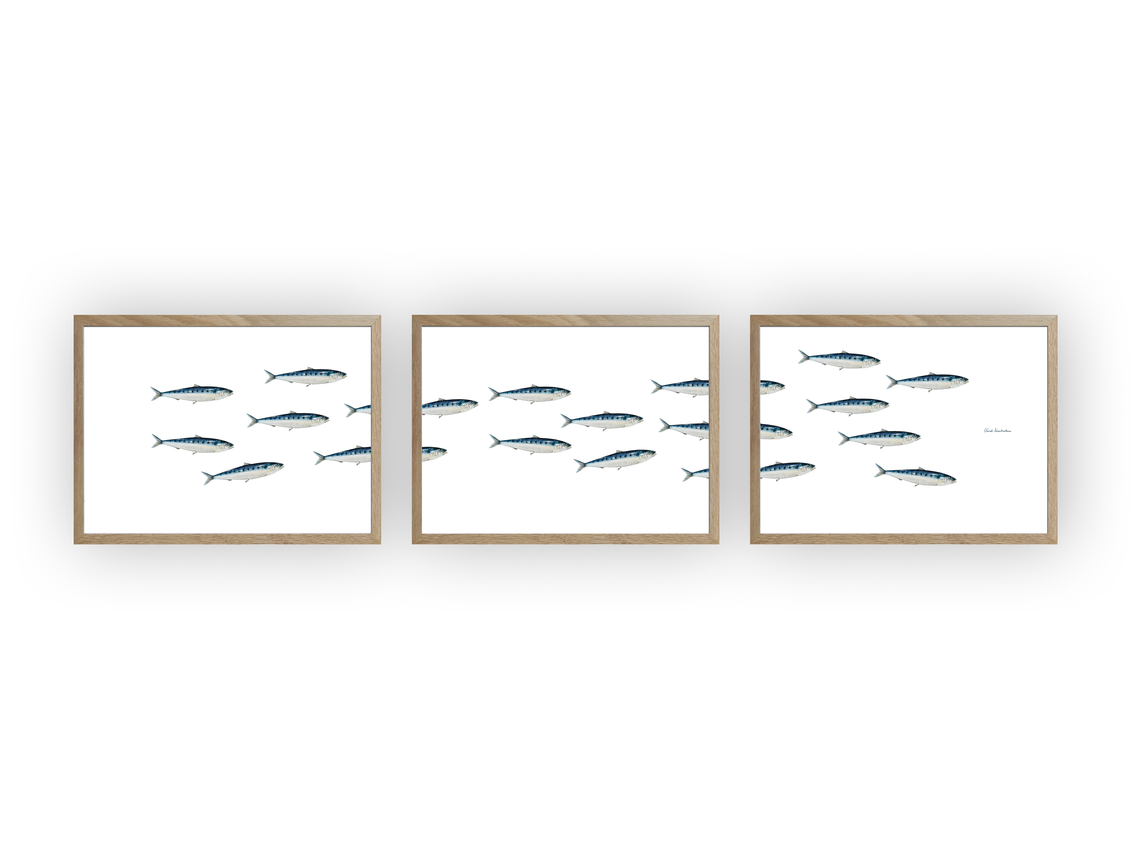 Triptyque Banc de Sardines