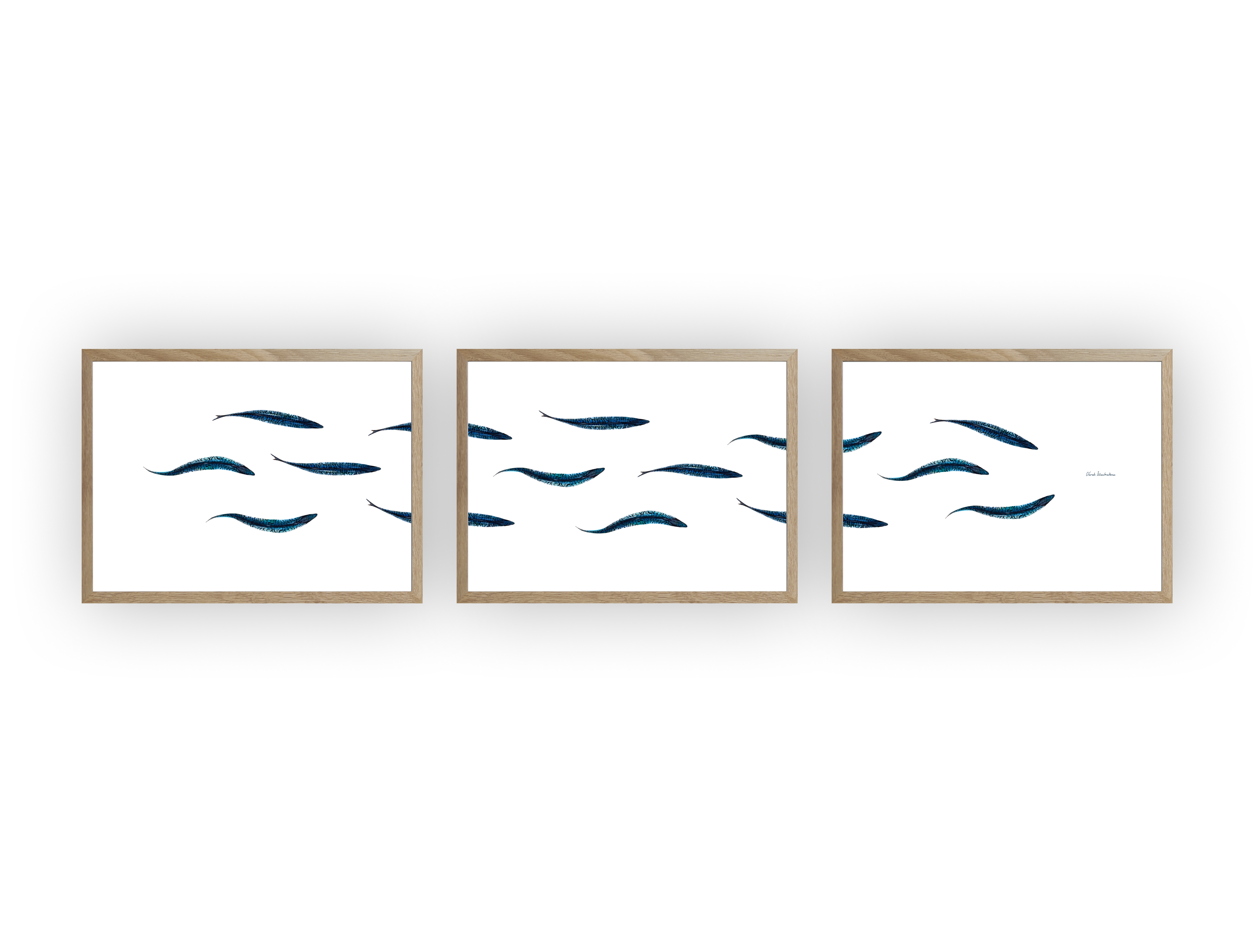 Triptyque : Les maquereaux vus du ciel