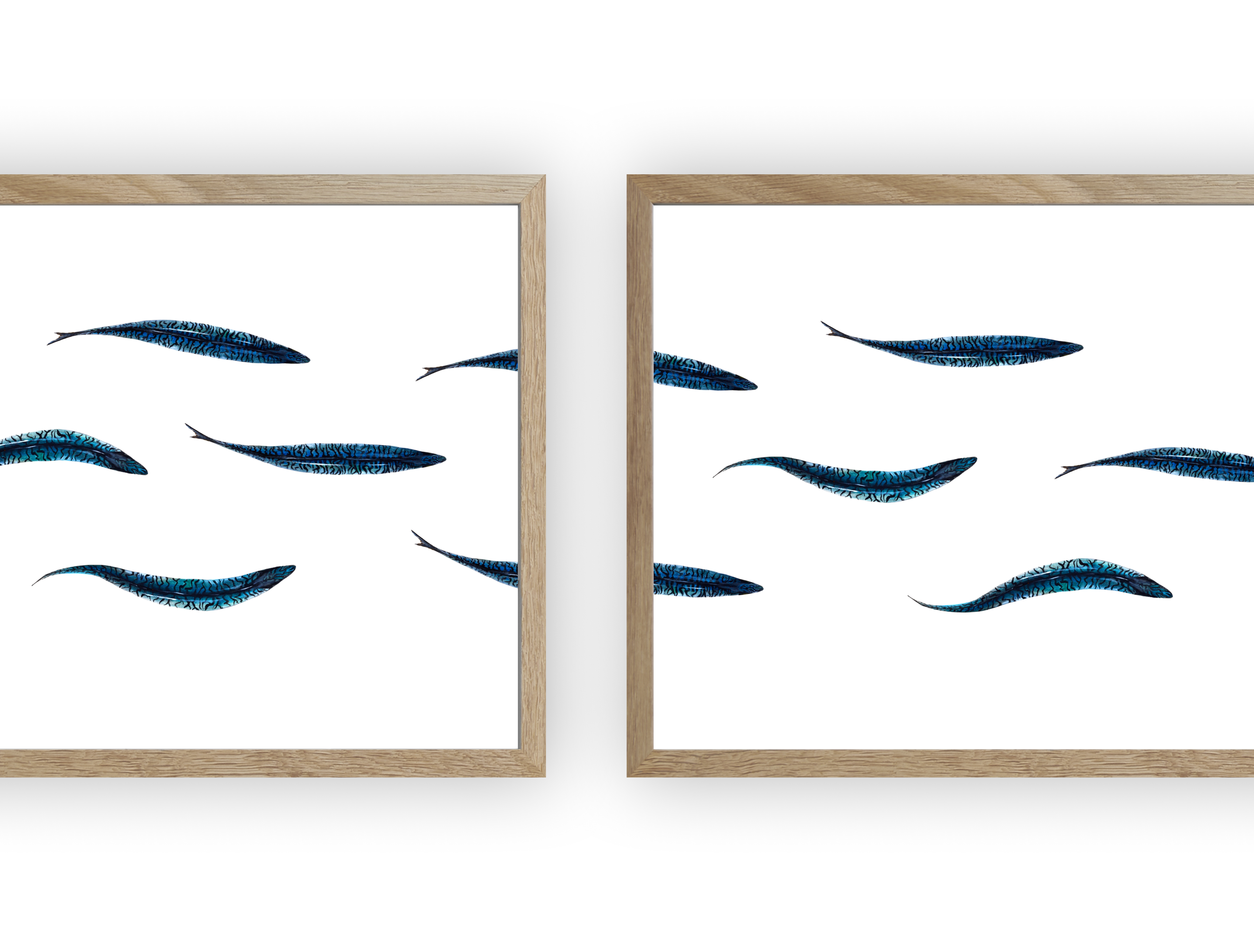 Triptyque : Les maquereaux vus du ciel