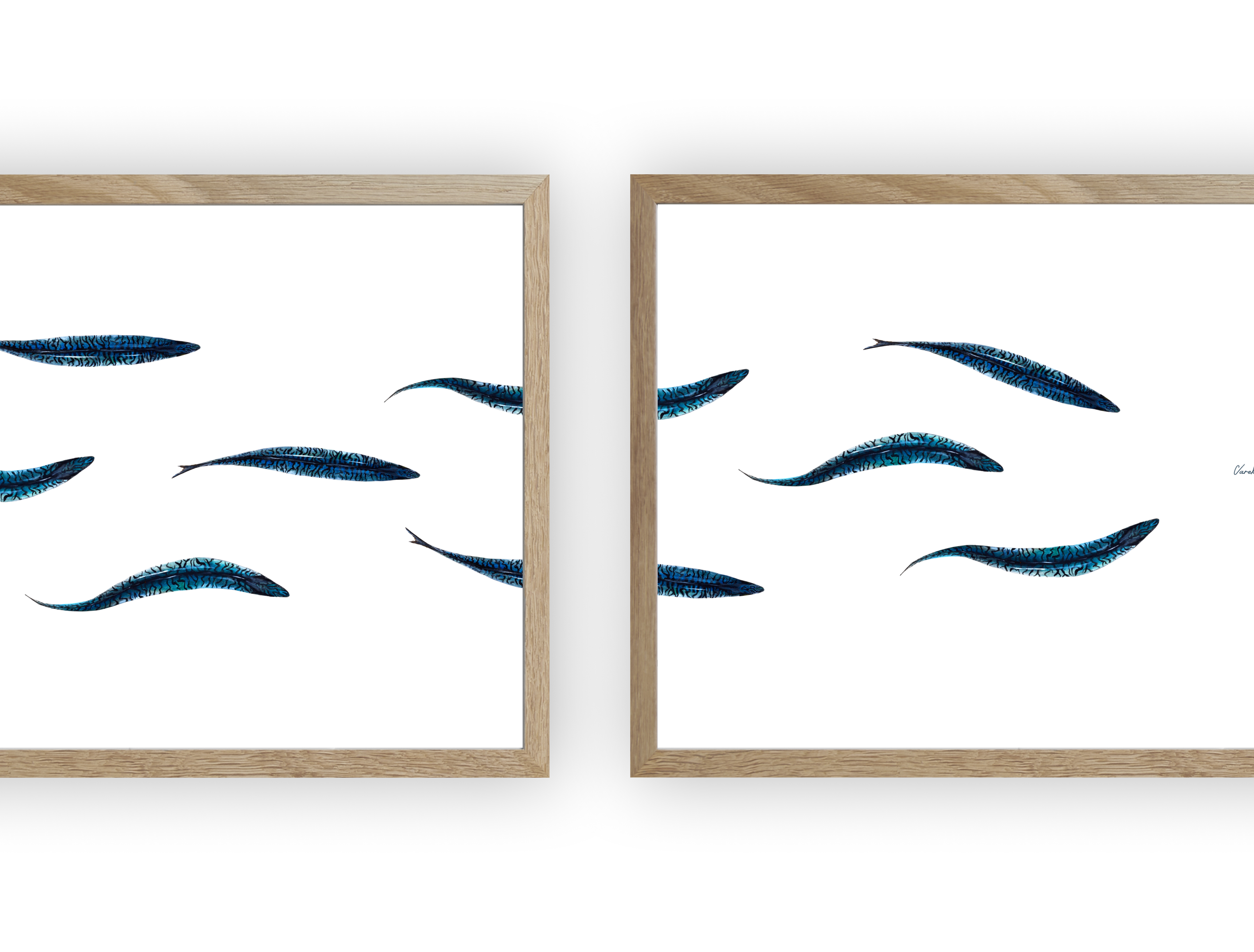 Triptyque : Les maquereaux vus du ciel