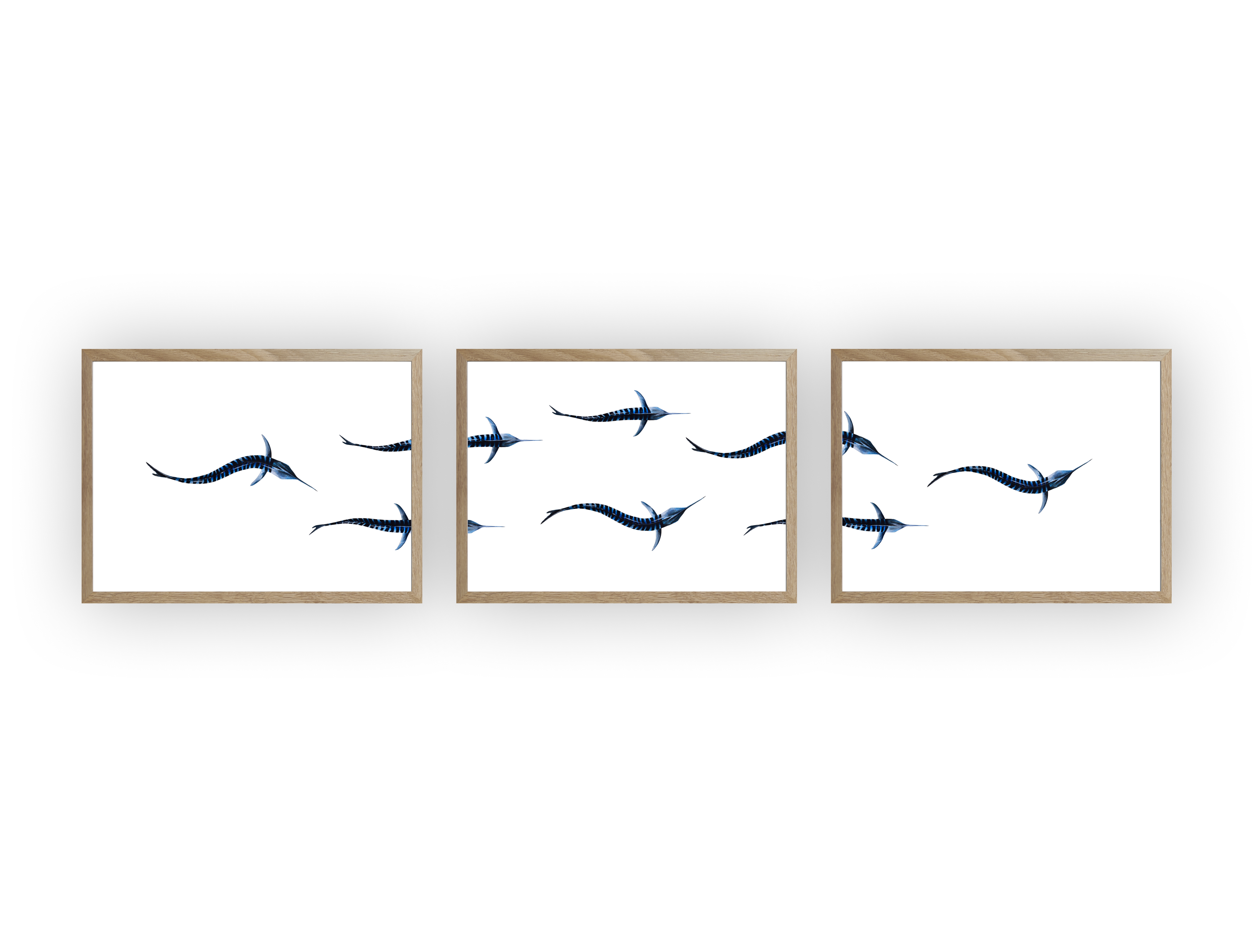 Triptyque : Les marlins vus du ciel